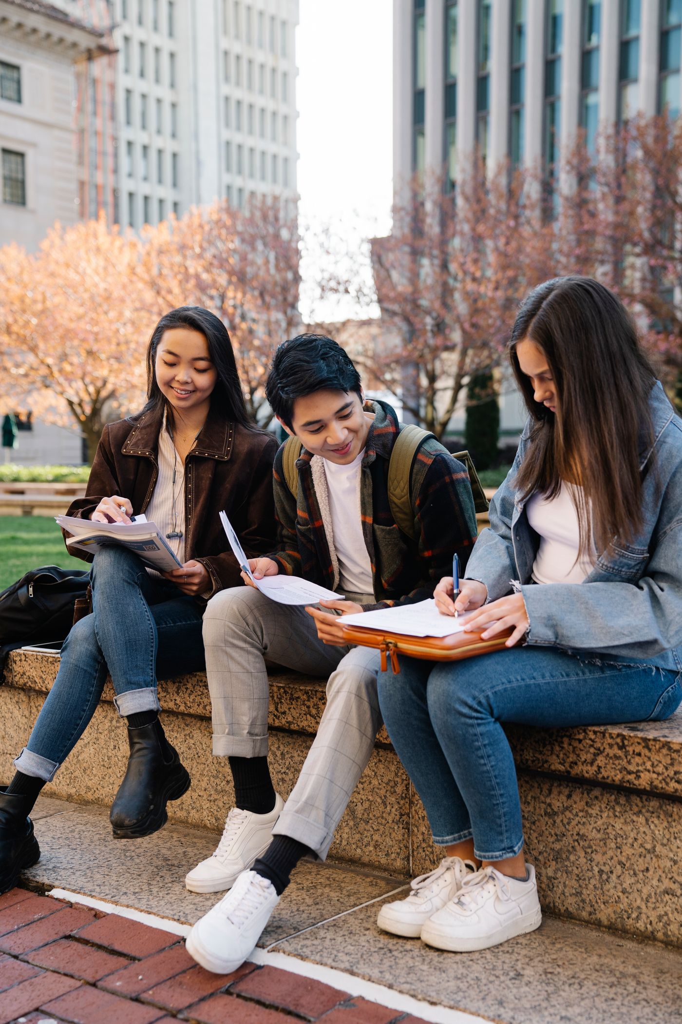 Students sharing a study session outdoors